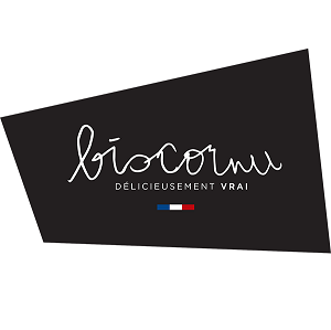 logo biscornu